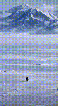 AI generated video: IM BACK!! 🐧 Follow @eSlop for more slop