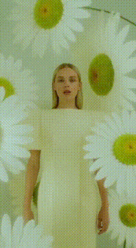 AI generated video: AI Generated Video