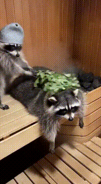AI generated video: Raccoons in the bathhouse 🦝