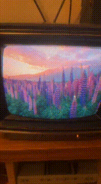 AI generated video: lupines