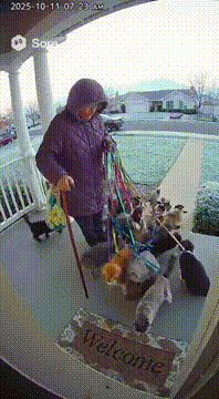 AI generated video: Someone come get their grandma!