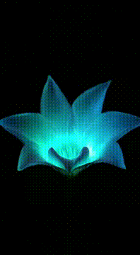 AI generated video: Prismatic Bloom