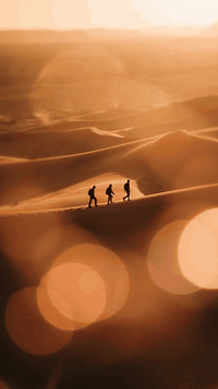 AI generated video: AI Generated Video