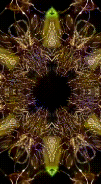 AI generated video: Crave