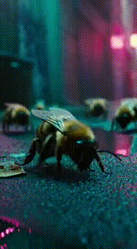 AI generated video: The move the bee keep as rats