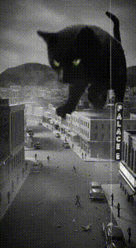 AI generated video: Change it to a black cat with yellow eyes named (Mr handsome)