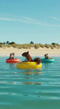 AI generated video: AI Generated Video
