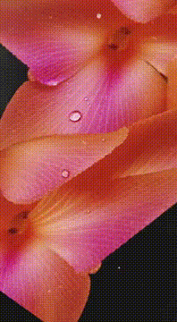 AI generated video: AI Generated Video