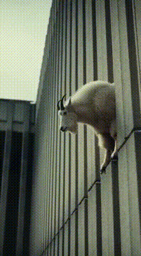 AI generated video: AI Generated Video