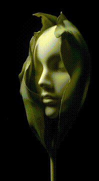 AI generated video: a dark tulip