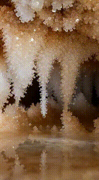 AI generated video: AI Generated Video