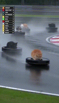 AI generated video: Midnight wins the Roomba Cat Grand Prix by a tail length 🏁 @cameoed