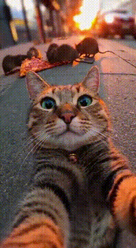 AI generated video: Are you guys seeing this?