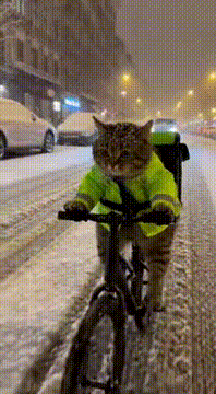 AI generated video: pov: you’re just a cat… but somehow you became the hero of the cold night ♥️