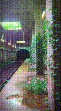 AI generated video: AI Generated Video