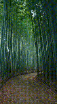 AI generated video: AI Generated Video
