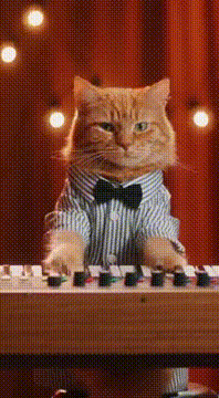 AI generated video: 👏👏👏🐈🐈🐈