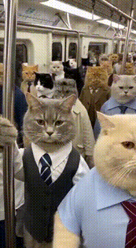 AI generated video: “Somewhere between naps and deadlines, 8:43 AM energy.”🗿