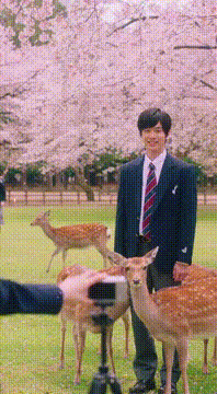 AI generated video: ここに歴史と鹿あり🦌
