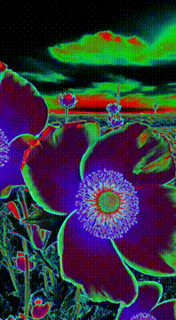 AI generated video: AI Generated Video