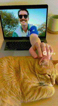 Видео, сгенерированное нейросетью: REMOTE WORK BUT MY CAT IS MY BOSS @cameoed