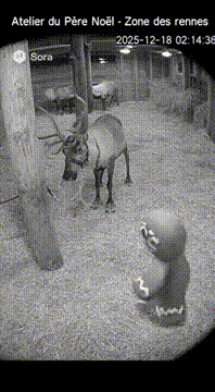 AI generated video: AI Generated Video