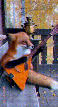 AI generated video: 🦊🦊