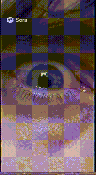 AI generated video: Final screen grab from a corrupted VHS tape, just before it cuts to static…