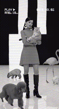 AI generated video: 播放 VHS 黑白電視
