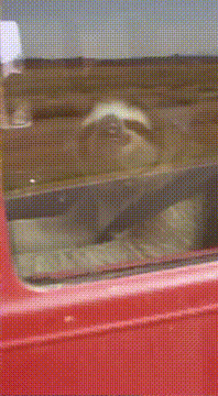 AI generated video: You’ve just gotta keep on truckin’ // ft. @the.sloth & @alexandria