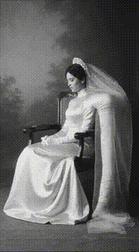 AI generated video: "The bride"