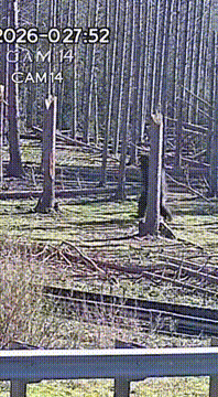 AI generated video: Low quality CCTV surveillance footage, extreme long-distance shot (around 200…