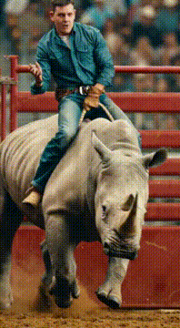 AI generated video: Remix @obscura_altair Deddi riding Content Violation the rhino