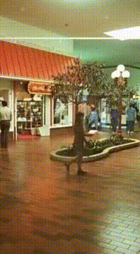 AI generated video: Old Towne Mall, 1978