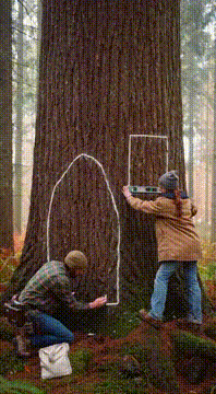 AI generated video: { "video_style": "ultra realistic cinematic construction", "duration": "15…