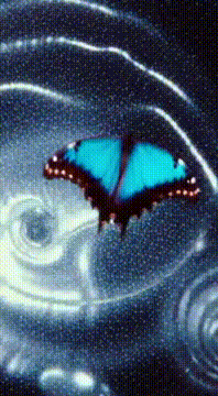 AI generated video: AI Generated Video