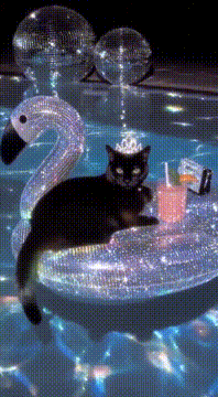 AI generated video: 🛟✨😹