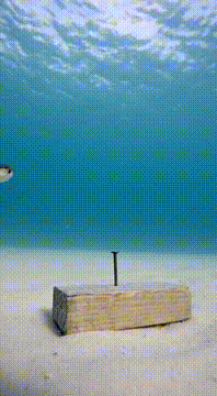 AI generated video: 🔨
