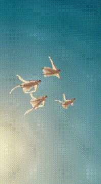 AI generated video: AI Generated Video