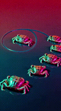 AI generated video: AI Generated Video
