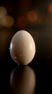 AI generated video: A homunculus resembling an egg membrane emerges from the egg