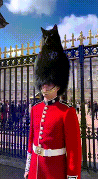 AI generated video: Wow, what a hat!