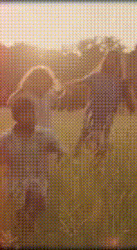AI generated video: AI Generated Video