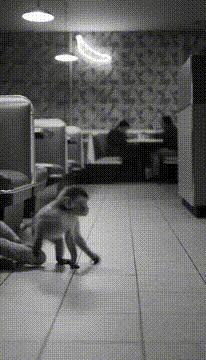 AI generated video: table for two 🍌