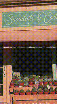 AI generated video: AI Generated Video