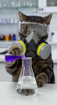 AI generated video: Weird 🐱 science