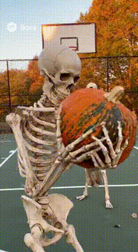 AI generated video: But why did bro have to do that to the pumpkin???