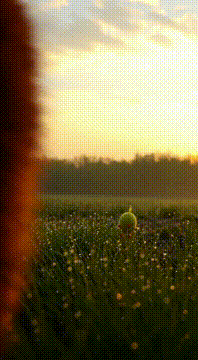 AI generated video: @yellowhat.sunnychick The Moment I Met You A quiet, cinematic short scene from…