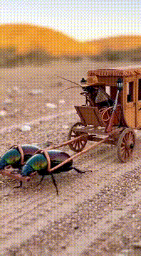 AI generated video: I don't remember this from history class