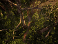 AI generated video: integrated_multimodal_description: [Shot 1] Live-action, cinematic…